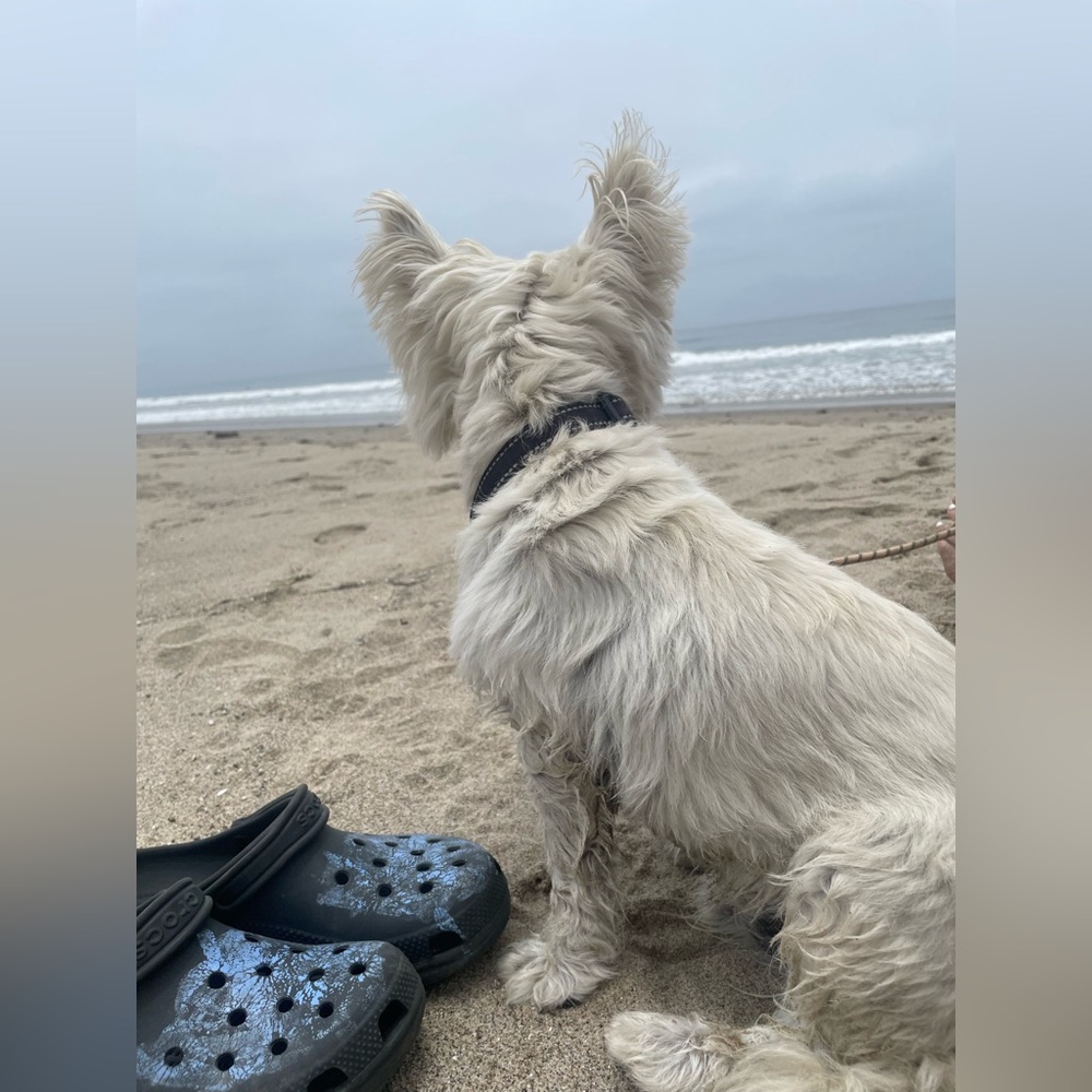 🥰Live Show Listing 🧿 - Picture 5 of 6